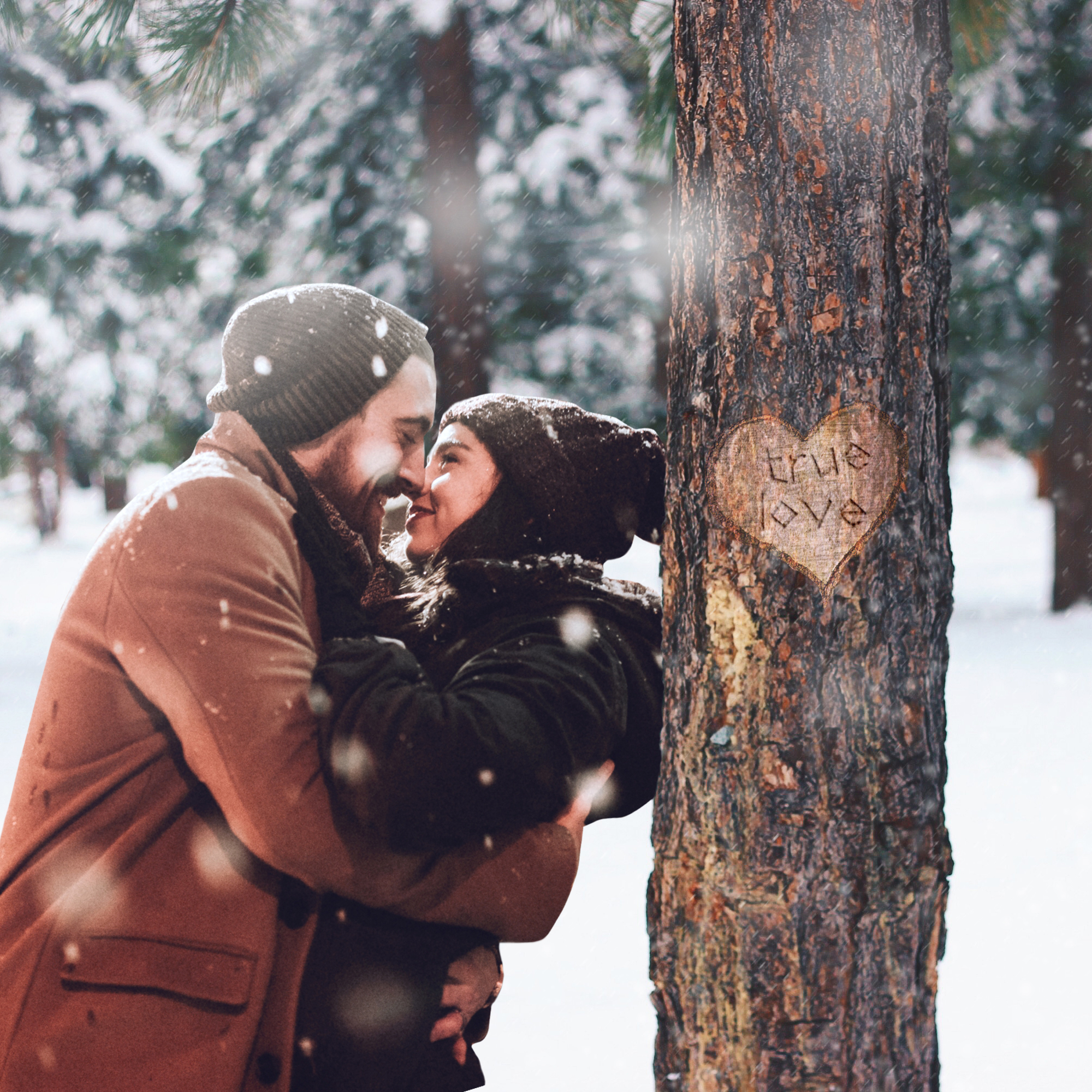 Couple kissing in front of a tree carved with the words "True Love" with snow in the background