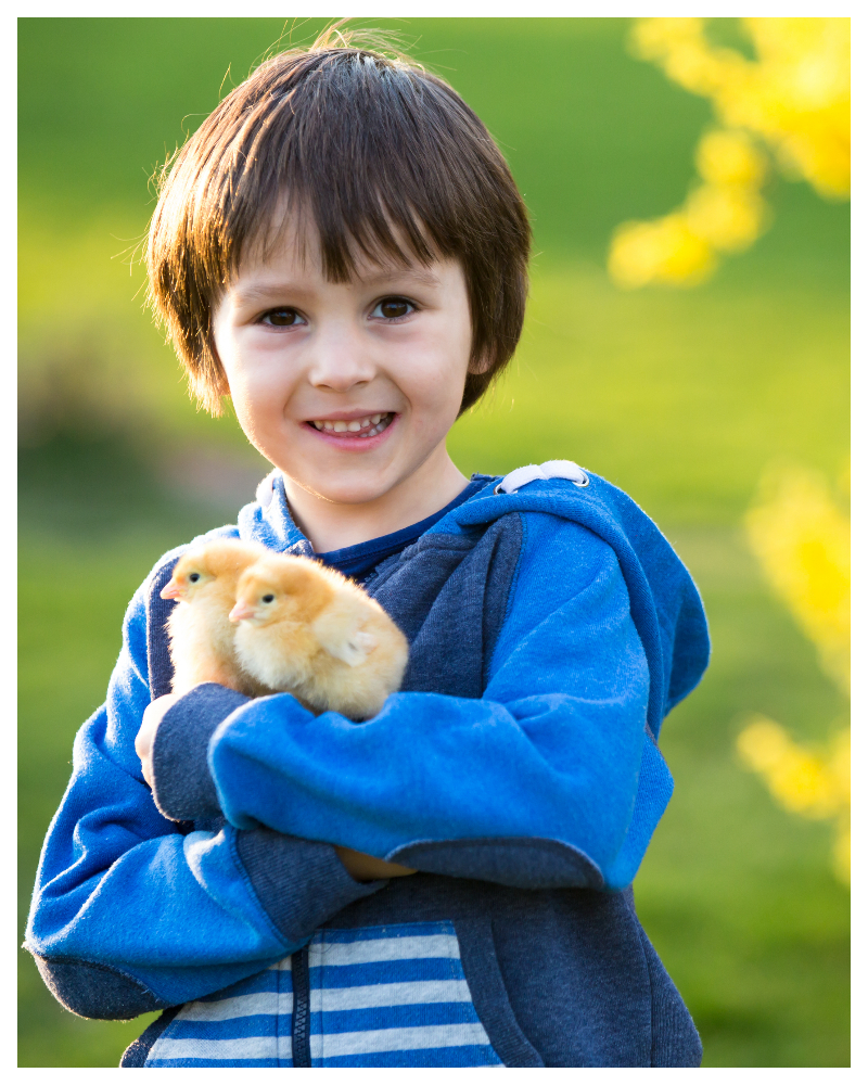 Easter photo of boy holding chicks